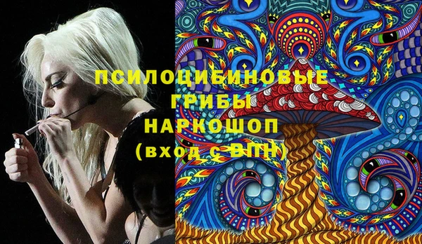 шишки Армянск