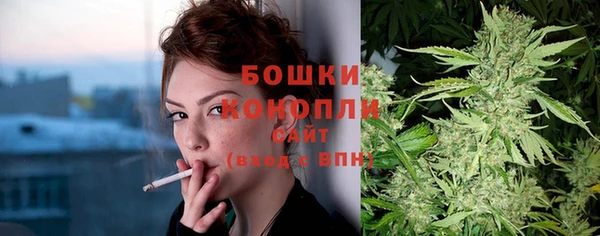 шишки Армянск