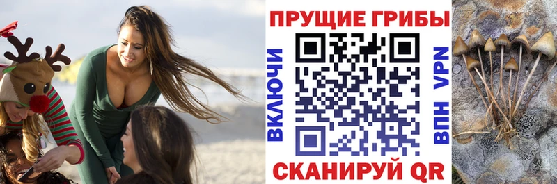 Псилоцибиновые грибы MAGIC MUSHROOMS  Ладушкин 